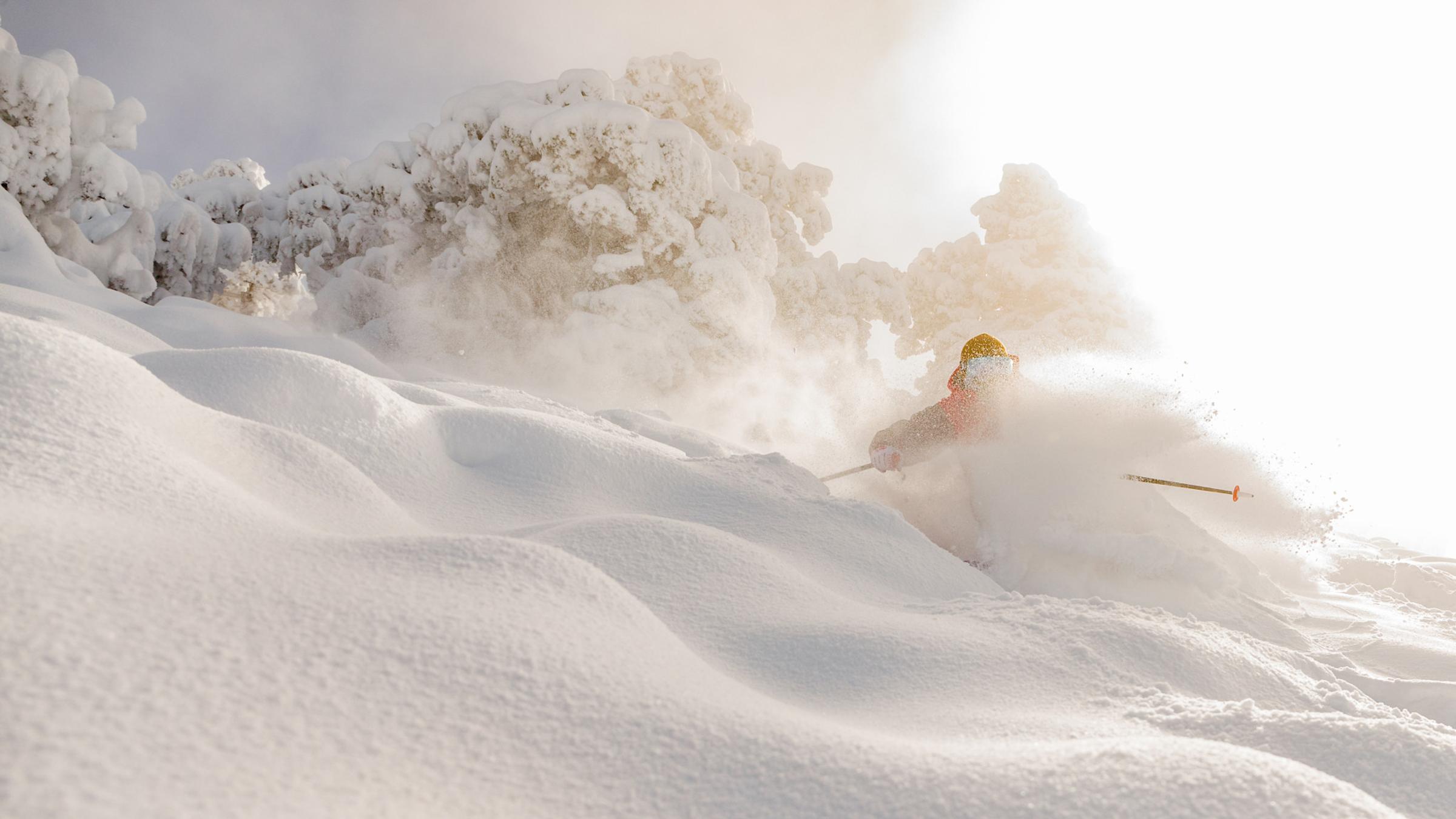 skier in fresh powder going downhill on a ski slope in big bear